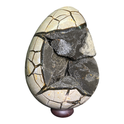Septerian Agate