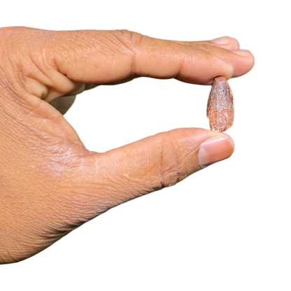 Dinosaur Tooth