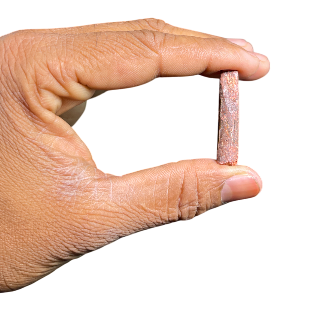 Dinosaur Tooth