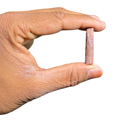 Dinosaur Tooth