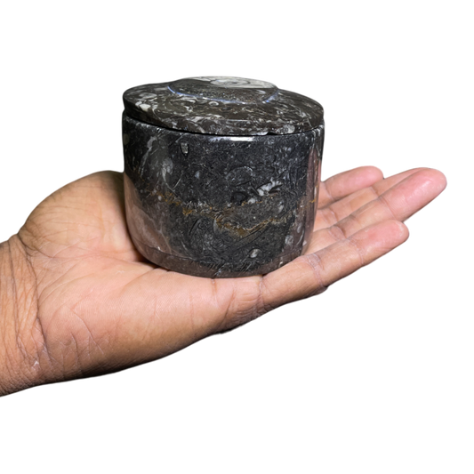 Orthoceras Bowl With Lid
