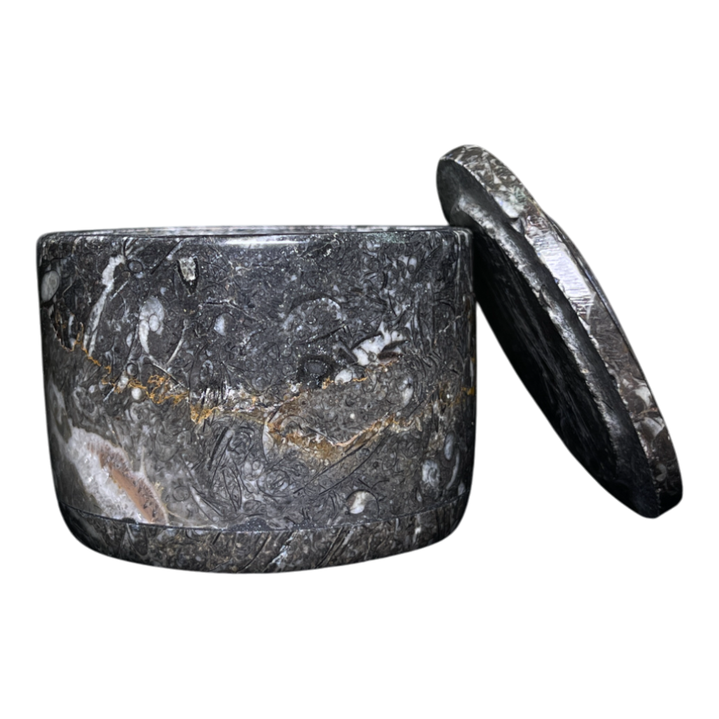 Orthoceras Bowl With Lid