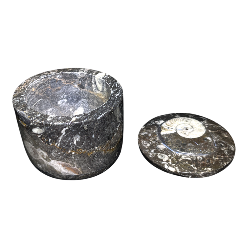 Orthoceras Bowl With Lid