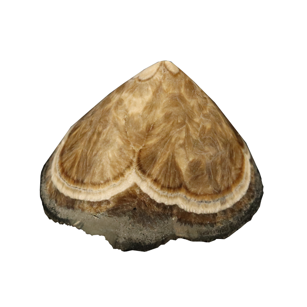 Baryte, Marcasite