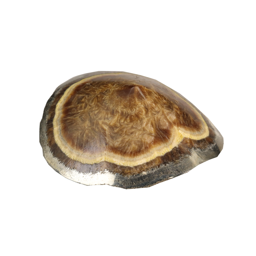 Baryte, Marcasite