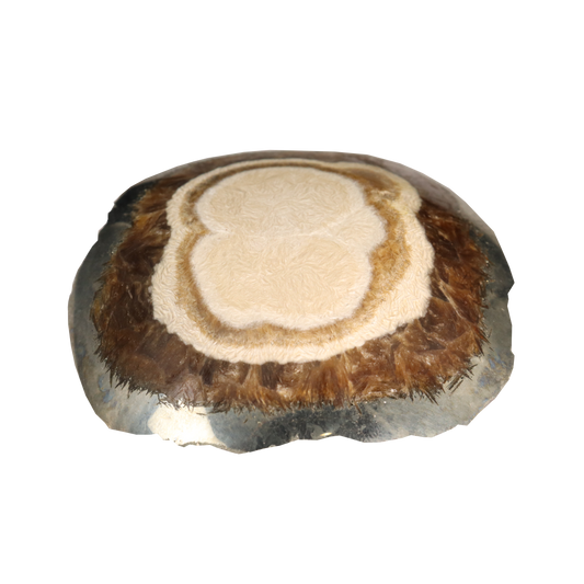 Baryte, Marcasite