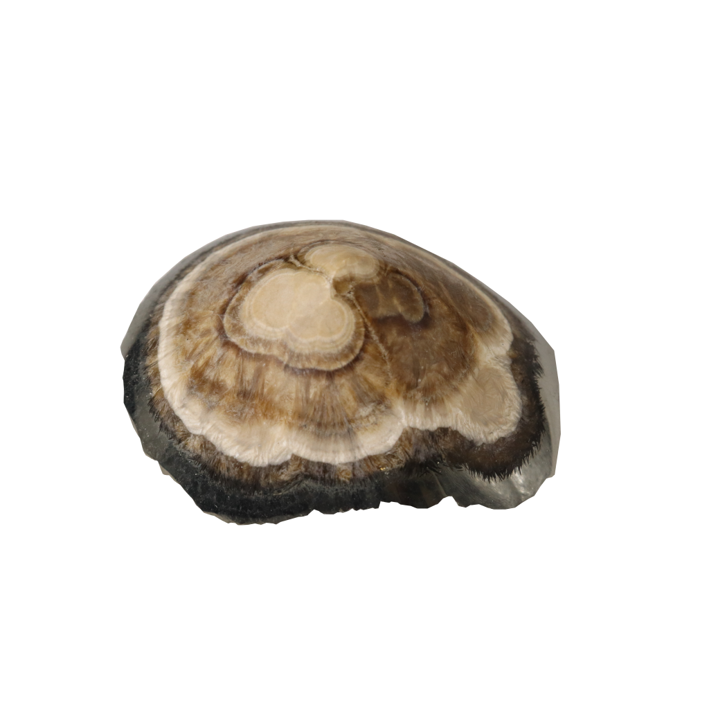 Baryte, Marcasite