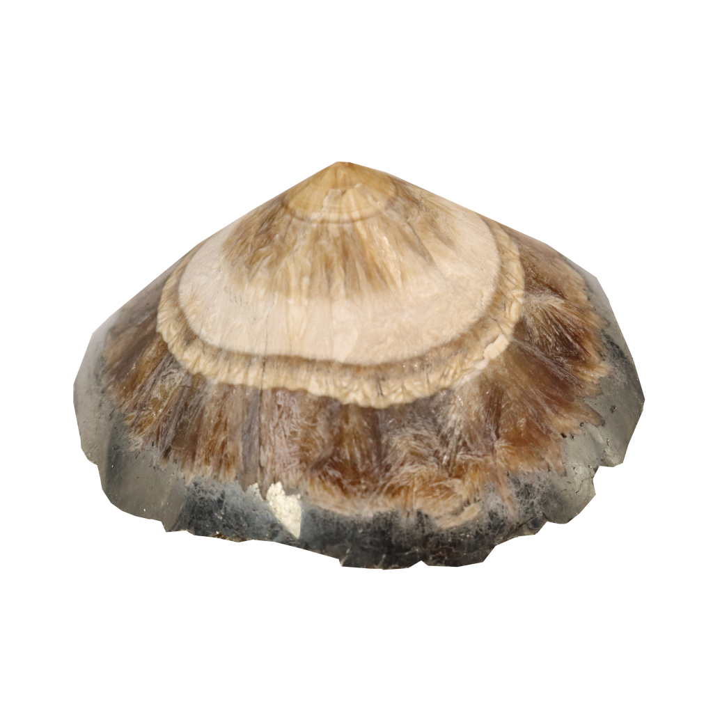 Baryte, Marcasite