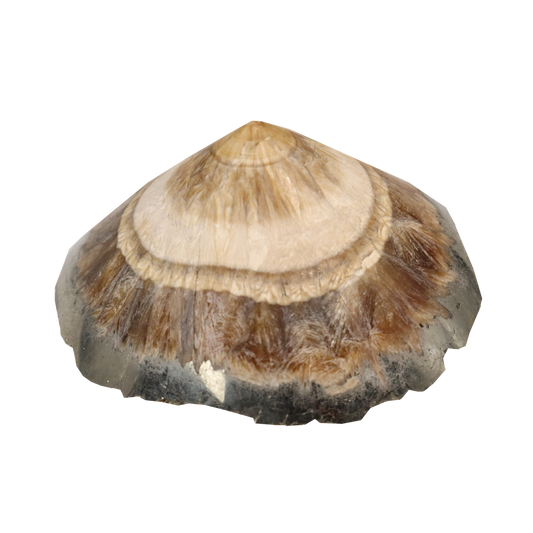 Baryte, Marcasite