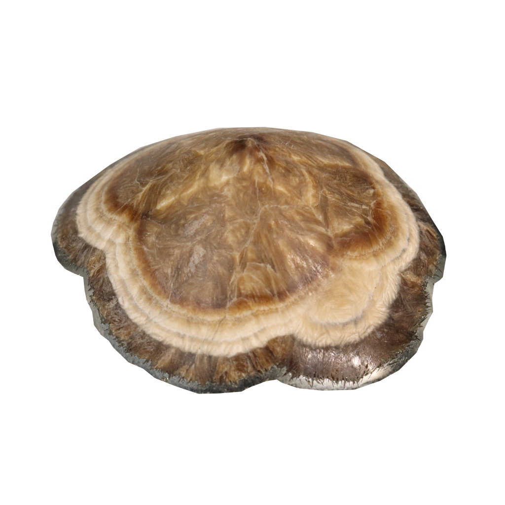 Baryte, Marcasite