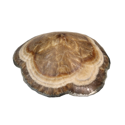 Baryte, Marcasite