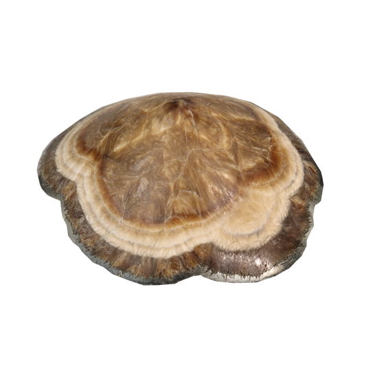 Baryte, Marcasite