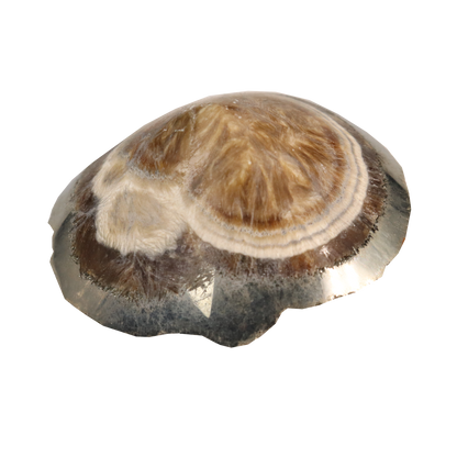 Baryte, Marcasite
