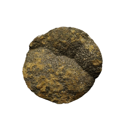 Baryte, Marcasite