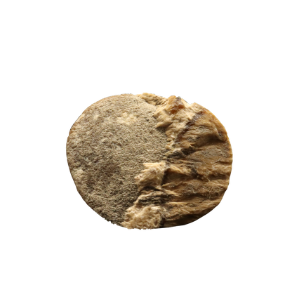 Baryte, Marcasite