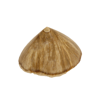 Baryte, Marcasite