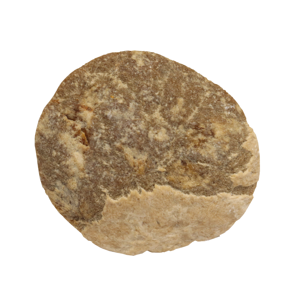 Baryte, Marcasite