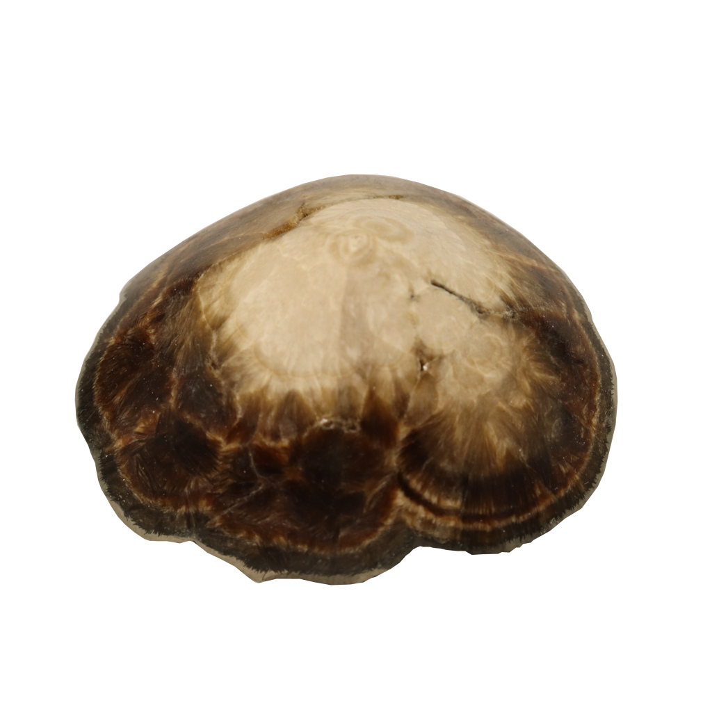 Baryte, Marcasite