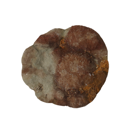 Baryte, Marcasite