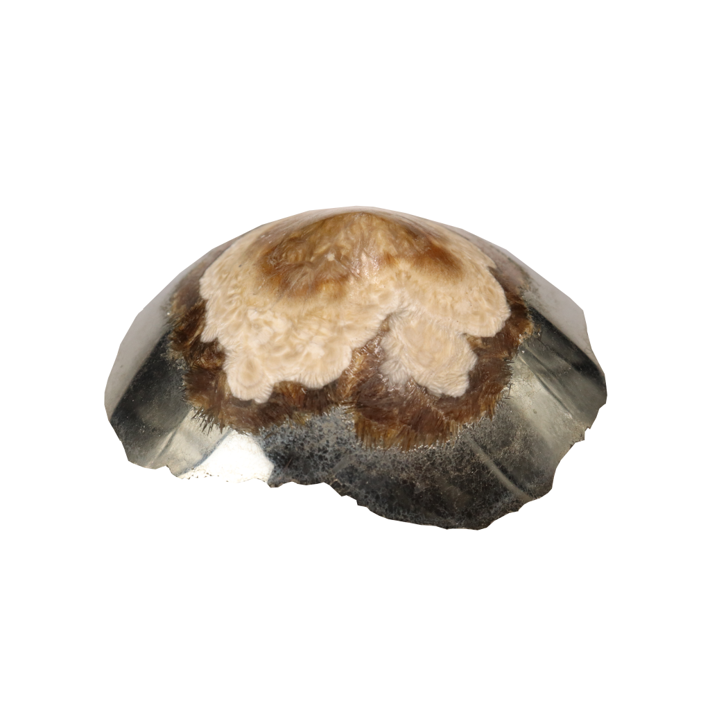 Baryte, Marcasite