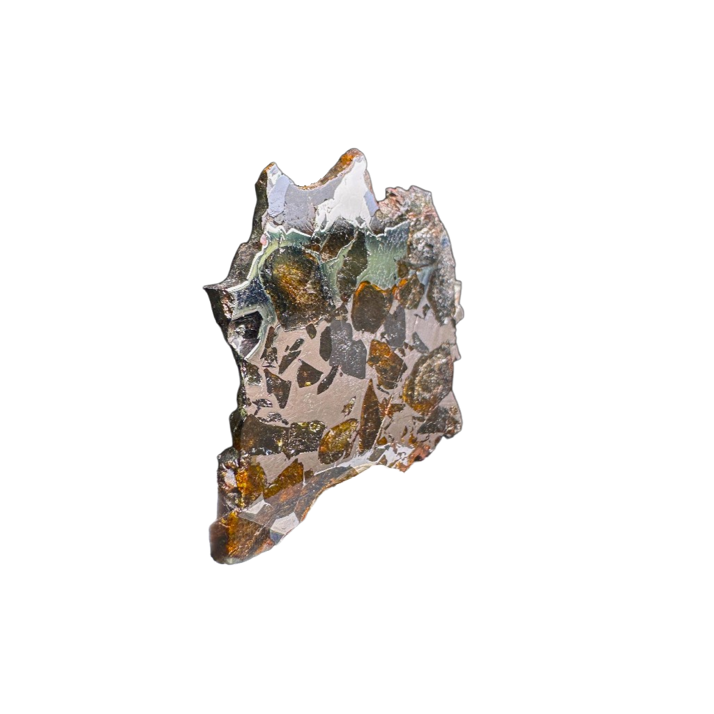 Seymchan Pallasite