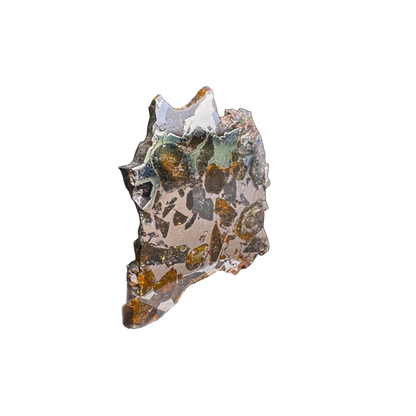 Seymchan Pallasite