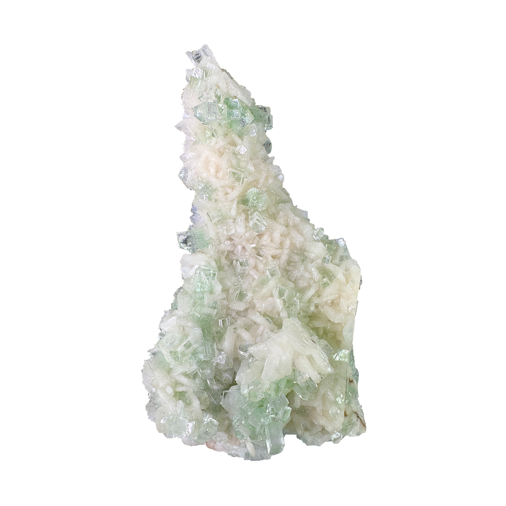 Flat Transmitted Green Apophyllite on Stilbite