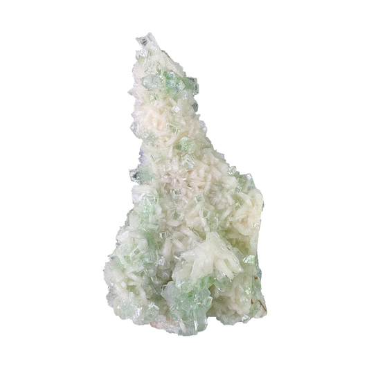 Flat Transmitted Green Apophyllite on Stilbite