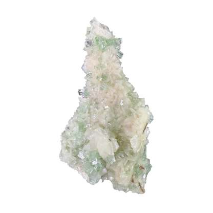 Flat Transmitted Green Apophyllite on Stilbite