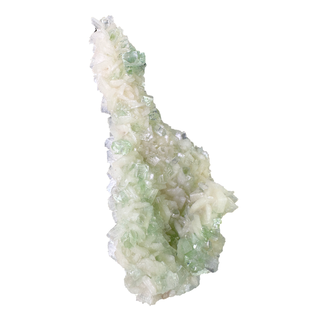 Flat Transmitted Green Apophyllite on Stilbite