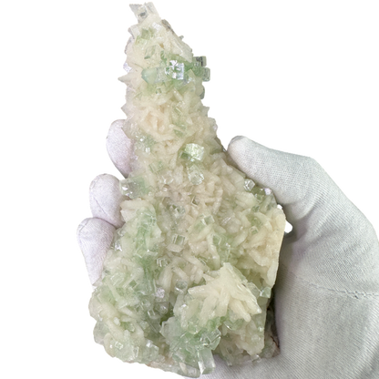 Flat Transmitted Green Apophyllite on Stilbite