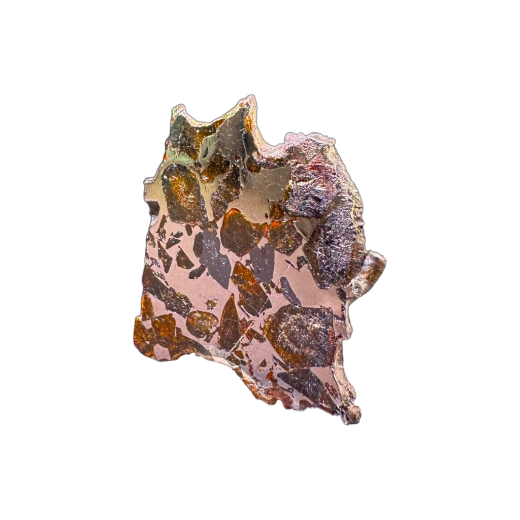 Seymchan Pallasite