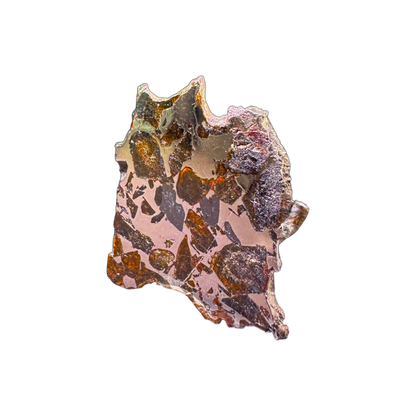 Seymchan Pallasite