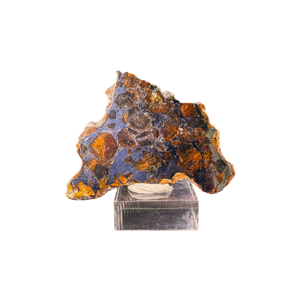 Seymchan Pallasite