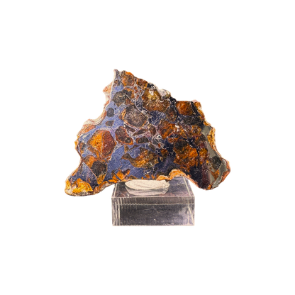 Seymchan Pallasite