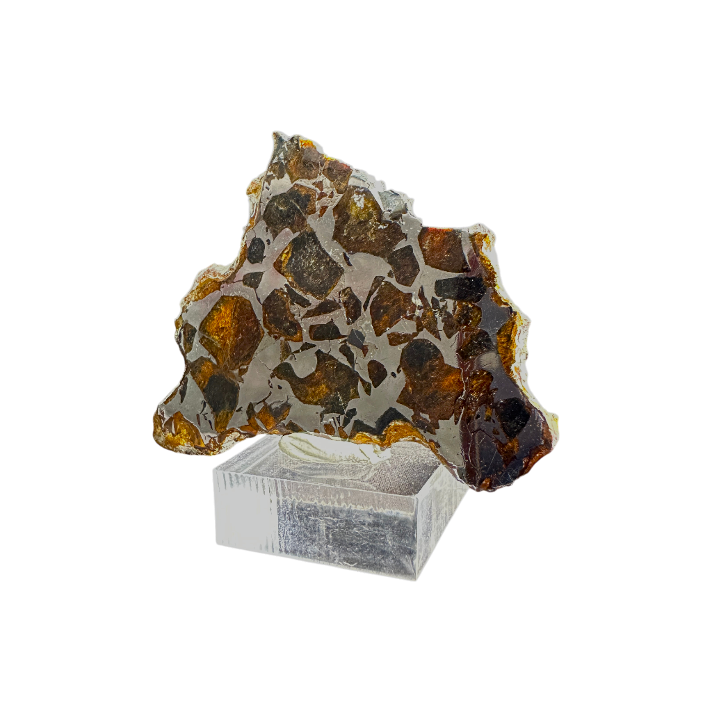 Seymchan Pallasite