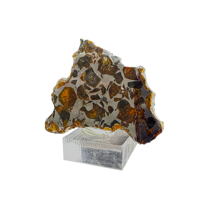Seymchan Pallasite