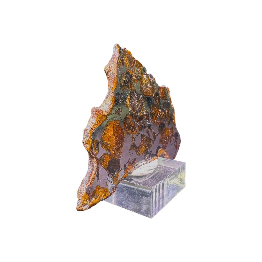 Seymchan Pallasite