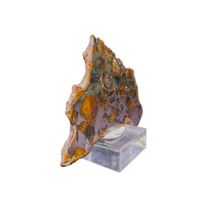 Seymchan Pallasite
