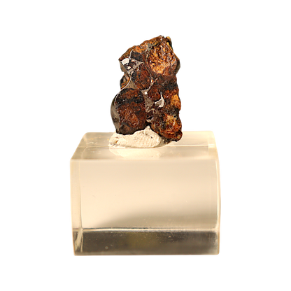 Sericho Pallasite Meteorite