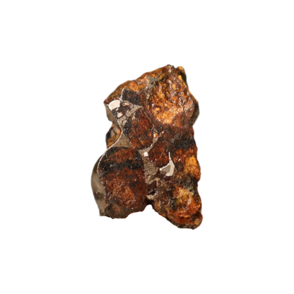 Sericho Pallasite Meteorite