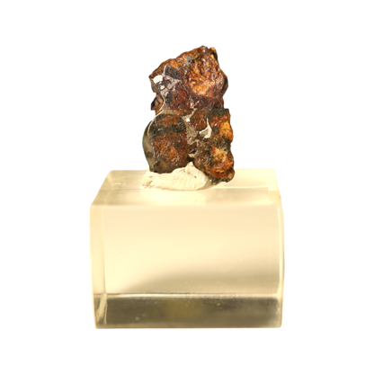 Sericho Pallasite Meteorite