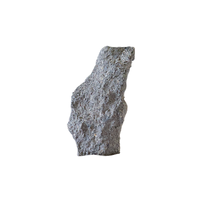Meteorite (Tamdakht)