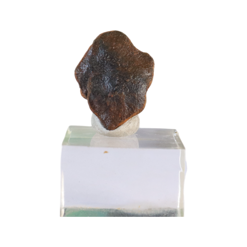 Meteorite (Camel Donga)