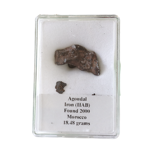 Meteorite (Agoudal)
