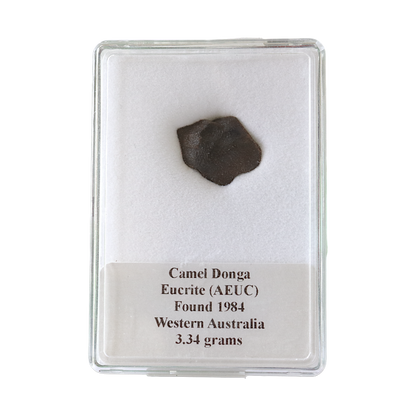Meteorite (Camel Donga)