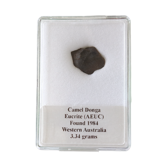 Meteorite (Camel Donga)