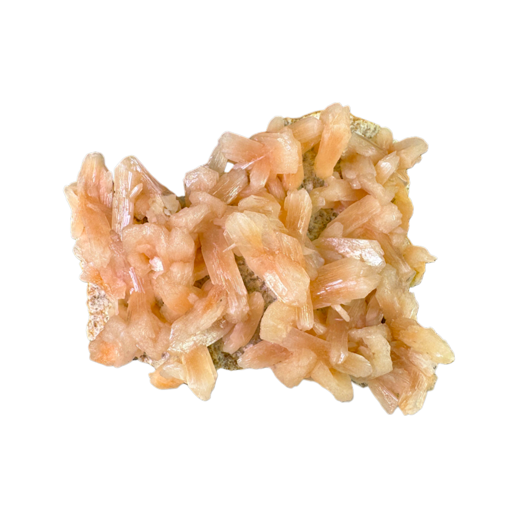 Petal Stilbite with Mordenite