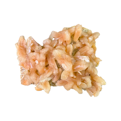 Petal Stilbite with Mordenite