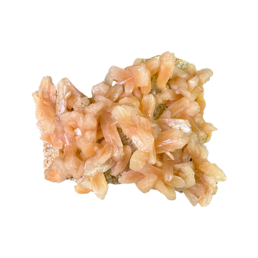Petal Stilbite with Mordenite